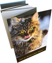 Laden Sie das Bild in den Galerie-Viewer, Faltbuch - Katze/Storch