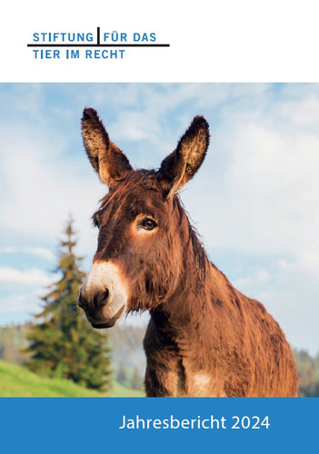 Jahresbericht 2024