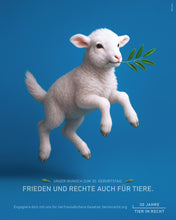 Laden Sie das Bild in den Galerie-Viewer, Postkarte - Frieden und Rechte auch für Tiere - Lamm (DE/EN)