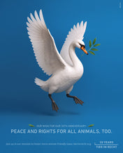 Laden Sie das Bild in den Galerie-Viewer, Postkarte - Frieden und Rechte auch für Tiere - Schwan (DE/EN)