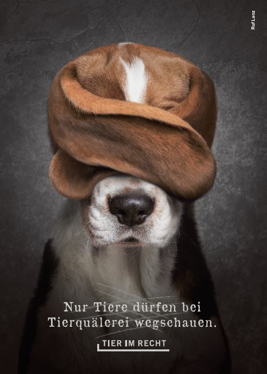 Postkarte - Nur Tiere dürfen bei Tierquälerei wegschauen - Beagle (DE)