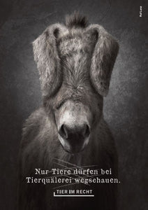 Postkarte - Nur Tiere dürfen bei Tierquälerei wegschauen - Esel (DE)