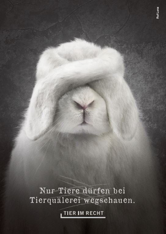 Postkarte - Nur Tiere dürfen bei Tierquälerei wegschauen - Kaninchen (DE)