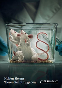 Postkarte - Helfen Sie uns, Tieren Recht zu geben - Mäuse (DE/EN)