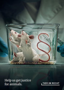 Postkarte - Helfen Sie uns, Tieren Recht zu geben - Mäuse (DE/EN)