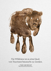 Postkarte - Für Wildtiere ist es eine Qual, betatscht zu werden - Bär (DE)