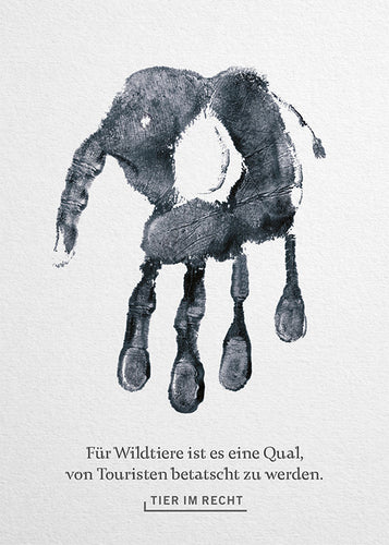 Postkarte - Für Wildtiere ist es eine Qual, betatscht zu werden - Elefant (DE)