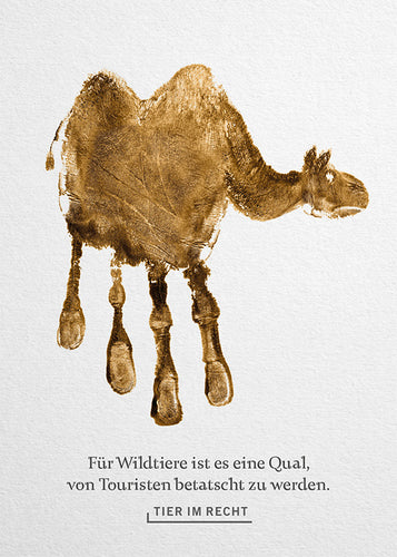 Postkarte - Für Wildtiere ist es eine Qual, betatscht zu werden - Kamel (DE)