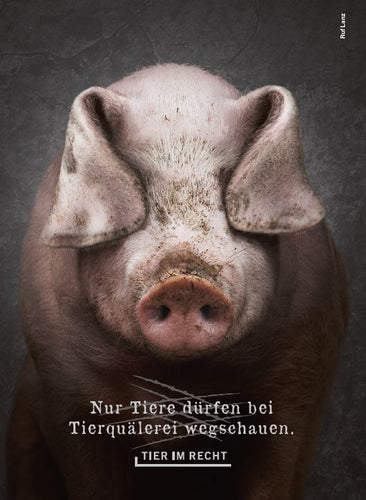 Postkarte - Nur Tiere dürfen bei Tierquälerei wegschauen - Schwein (DE)