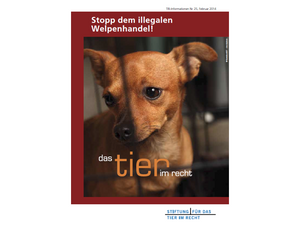 Stopp dem illegalen Welpenhandel! (TIR-Flyer Nr. 25)