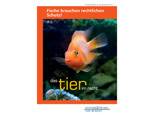 Fische brauchen rechtlichen Schutz! (TIR-Flyer Nr. 28)
