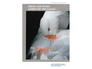 Gänse und Enten: Leiden für den Luxus! (TIR-Flyer Nr. 29)