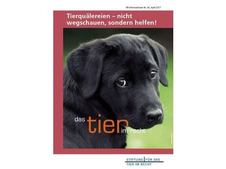 Tierquälereien – nicht wegschauen, sondern helfen! (TIR-Flyer Nr. 38)