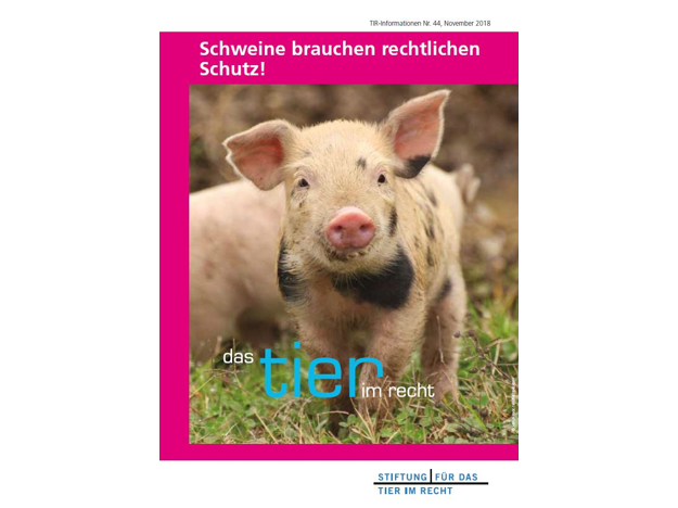Schweine brauchen rechtlichen Schutz! (TIR-Flyer Nr. 44)