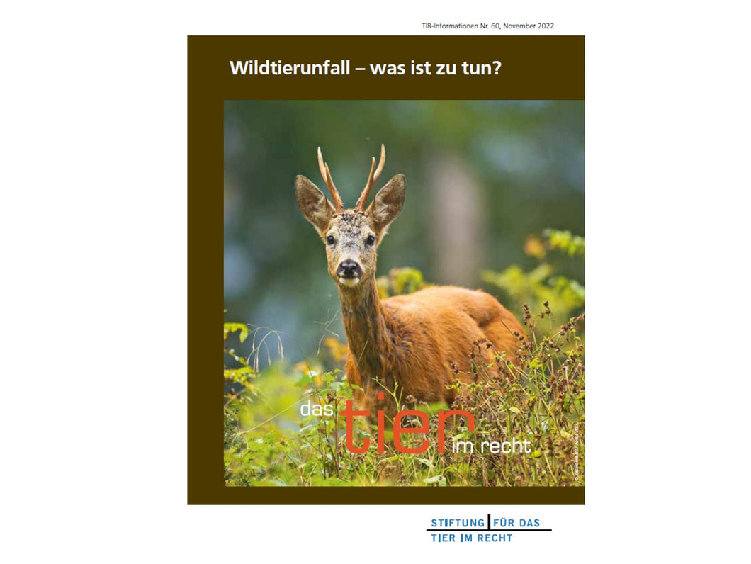 Wildtierunfall – was ist zu tun? (TIR-Flyer Nr. 60)