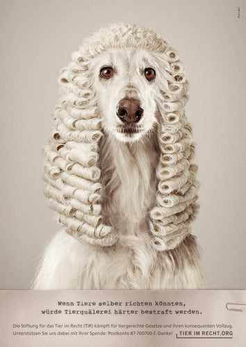 Poster- Wenn Tiere selber richten könnten, würde Tierquälerei härter bestraft werden - Hund