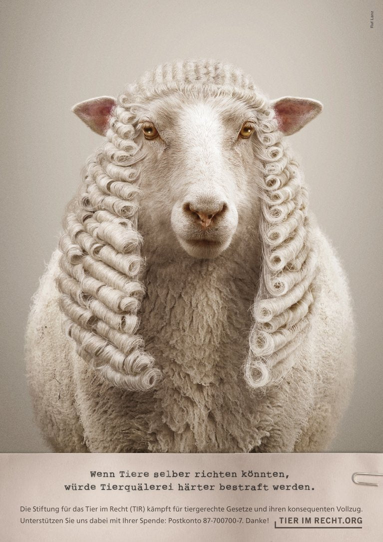 Poster - Wenn Tiere selber richten könnten, würde Tierquälerei härter bestraft werden - Schaf