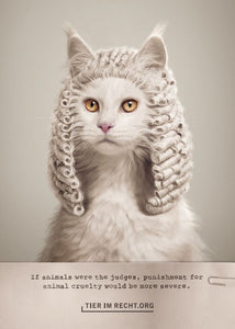 Postkarte - Wenn Tiere selber richten könnten, würde Tierquälerei härter bestraft werden - Katze (DE/EN)