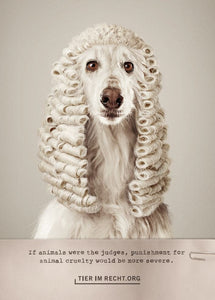 Postkarte - Wenn Tiere selber richten könnten, würde Tierquälerei härter bestraft werden - Hund (DE/EN)