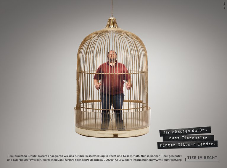Postkarte - Wir kämpfen dafür, dass Tierquäler hinter Gittern landen - Vogelkäfig