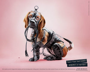 Postkarte - Kein Tier hat Lust, gequält zu werden - Hund (DE/EN)