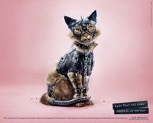 Laden Sie das Bild in den Galerie-Viewer, Postkarte - Kein Tier hat Lust, gequält zu werden - Katze (DE/EN)