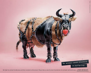 Postkarte - Kein Tier hat Lust, gequält zu werden - Kuh (DE/EN)