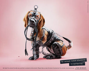 Postkarte - Kein Tier hat Lust, gequält zu werden - Hund (DE/EN)