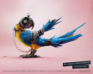Postkarte - Kein Tier hat Lust, gequält zu werden - Papagei (DE/EN)