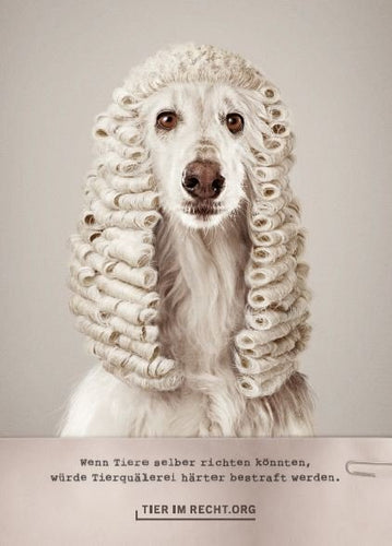 Postkarte - Wenn Tiere selber richten könnten, würde Tierquälerei härter bestraft werden - Hund (DE/EN)