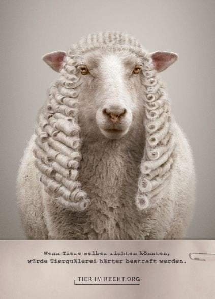Postkarte - Wenn Tiere selber richten könnten, würde Tierquälerei härter bestraft werden - Schaf (DE/EN)