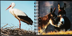 Ringbuch - Esel/Storch