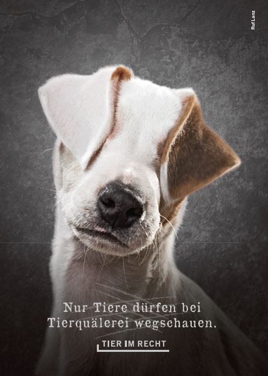 Postkarte - Nur Tiere dürfen bei Tierquälerei wegschauen - Terrier (DE)